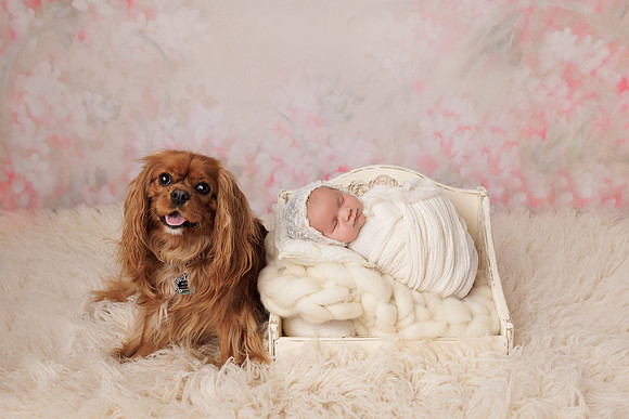 puppy_baby_newborn_photo