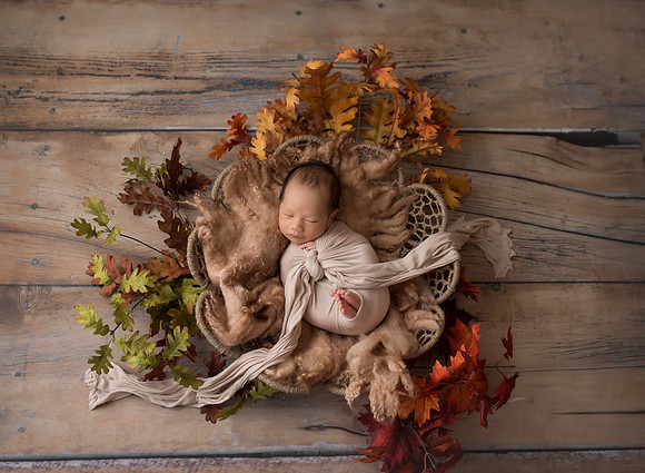 newborn_photo_session